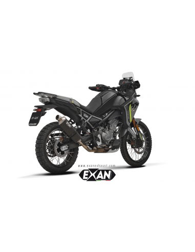 Silencieux Exan carbone X-Rally pour...